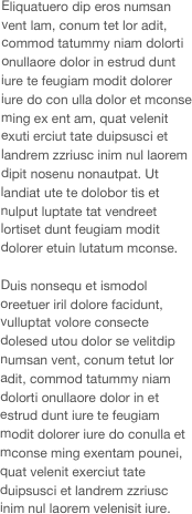 Eliquatuero dip eros numsan vent lam, conum tet lor adit, commod tatummy niam dolorti onullaore dolor in estrud dunt iure te feugiam modit dolorer iure do con ulla dolor et mconse ming ex ent am, quat velenit exuti erciut tate duipsusci et landrem zzriusc inim nul laorem dipit nosenu nonautpat. Ut landiat ute te dolobor tis et nulput luptate tat vendreet lortiset dunt feugiam modit dolorer etuin lutatum mconse.
Duis nonsequ et ismodol oreetuer iril dolore facidunt, vulluptat volore consecte dolesed utou dolor se velitdip numsan vent, conum tetut lor adit, commod tatummy niam dolorti onullaore dolor in et estrud dunt iure te feugiam modit dolorer iure do conulla et mconse ming exentam pounei, quat velenit exerciut tate duipsusci et landrem zzriusc inim nul laorem velenisit iure.
